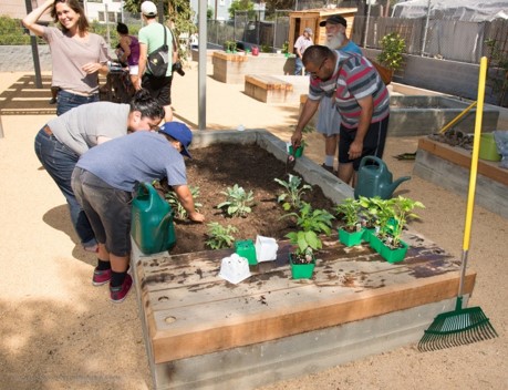 Citizens participating in a community garden.