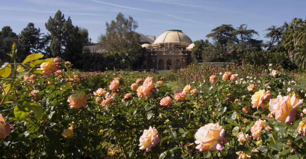 Expo Center Exposition Park Rose Garden City Of Los Angeles