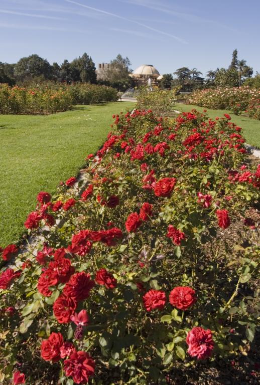 Expo Center Exposition Park Rose Garden City Of Los Angeles