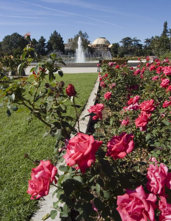 Expo Center Exposition Park Rose Garden City Of Los Angeles