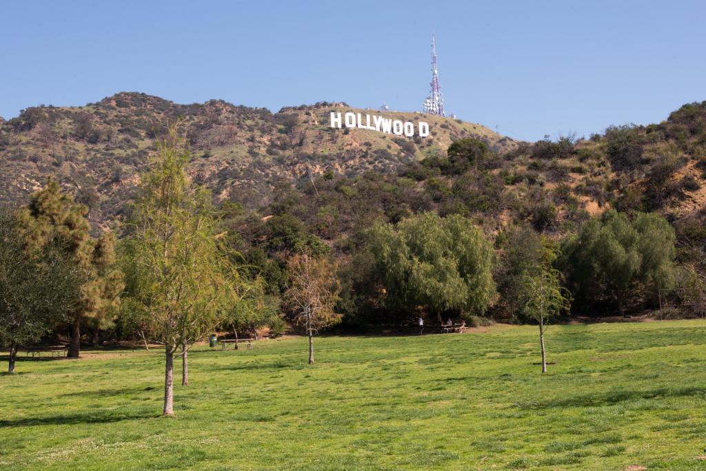 Get Book Hollywood park No Survey