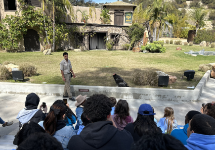 Campgrounds Image 11