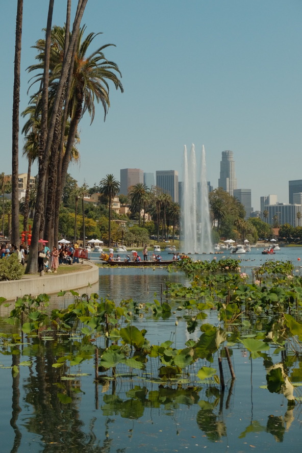 44th Lotus Festival photo 9