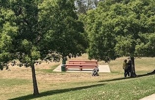 Picnic Area A Picture